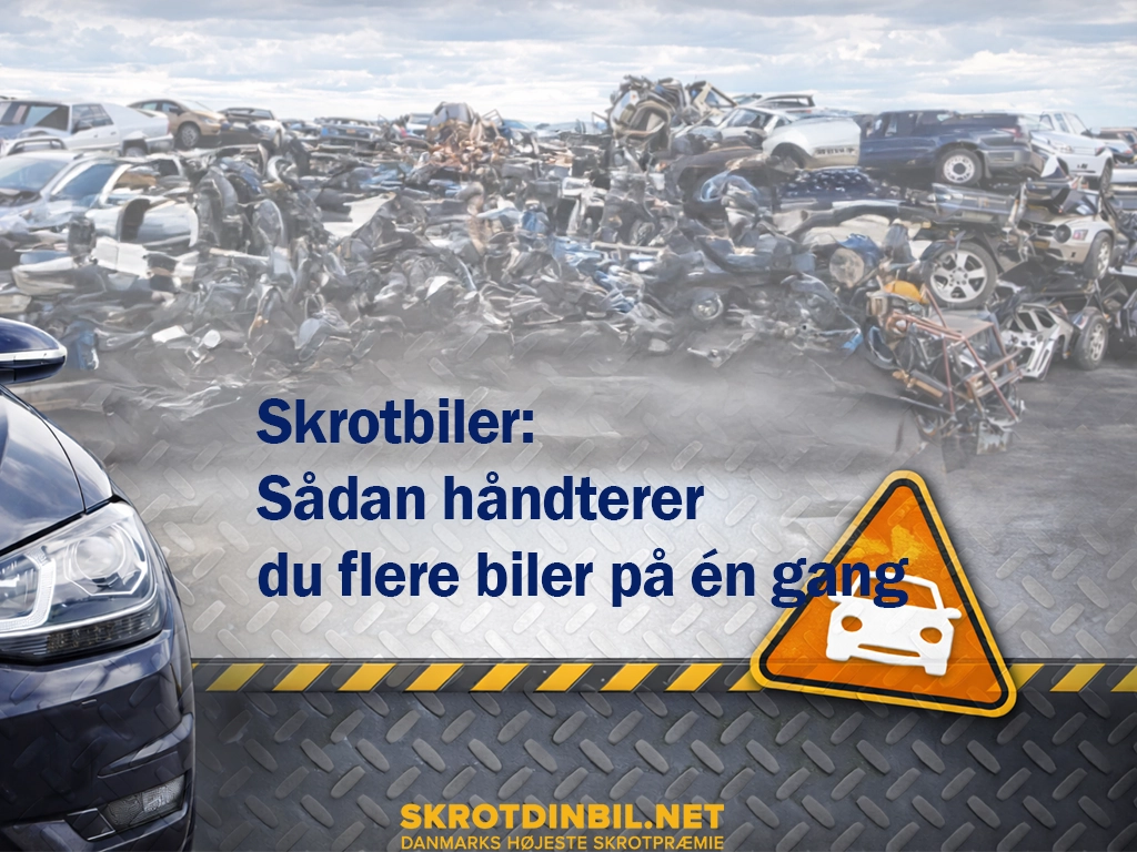 skrotbiler-saadan-haandterer-du-flere-biler-paa-n-gang-galleri