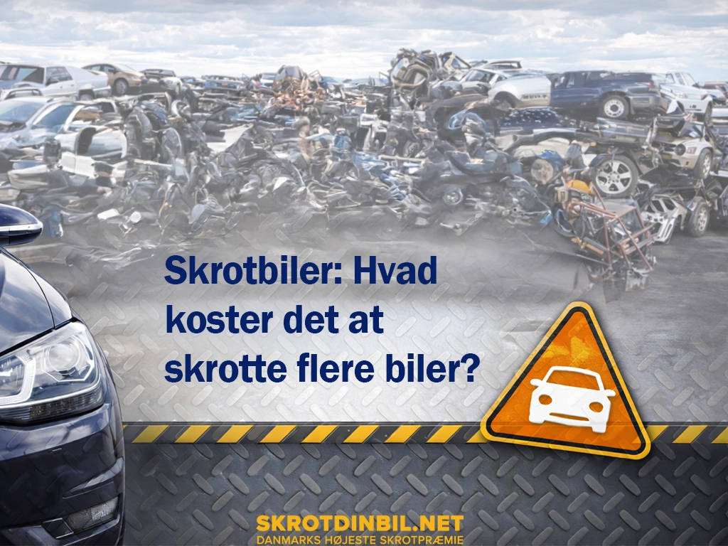 skrotbiler-hvad-koster-det-at-skrotte-flere-biler-galleri